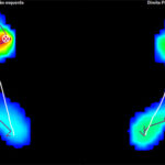 Avaliação Baropodométrica Dinâmica 2